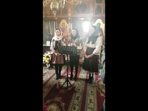 Lorena Elena Dupu- Domnul Iisus a intrebat (Priceasna)  2018