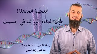 صورة رحلة اليقين ١٨: العجيبة المذهلة ! طول المادة الوراثية في جسمك