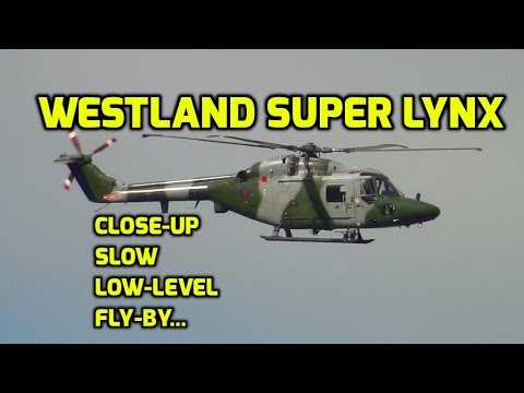 The World's FASTEST AEROBATIC Helicopter Up-Close Experience!