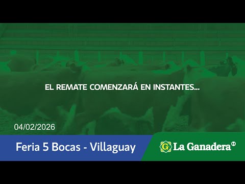 Remate de Hacienda Coop. LA GANADERA -  Villaguay.  Miércoles 4 de Febrero de 2026.