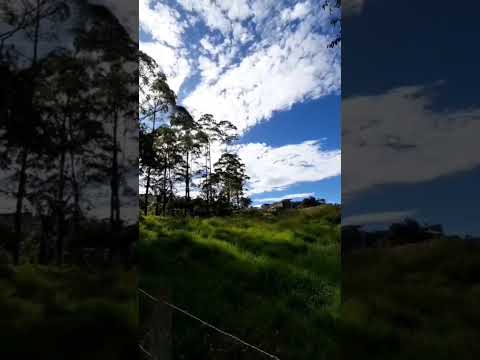 ​AVISTAMIENTO OVNI SOBRE EL CIELO DE CELICA, LOJA ​🛸👽  🇪🇨  ¡ECUADOR! ​#ovni #ufología #avistamiento