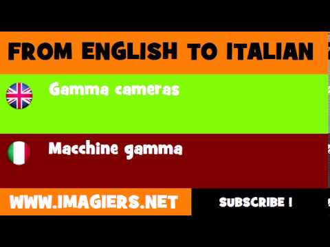 How to say Gamma cameras in Italian