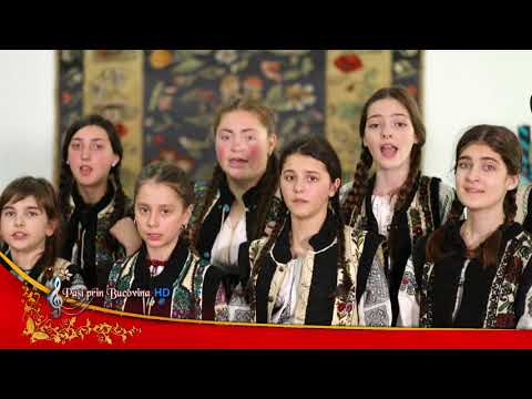 Grupul folcloric ”Moldava”   C  C  Fălticeni 2