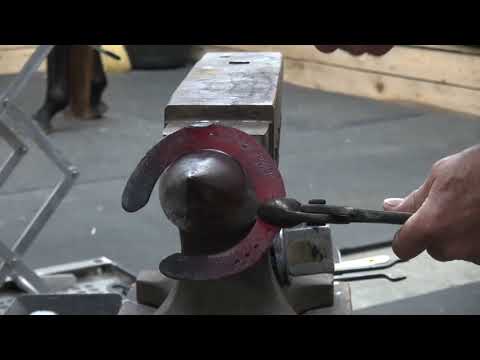 Shaping the Left Front Shoe for Abby