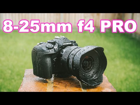 Video thumbnail for Video Review 2