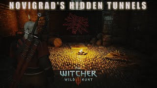 Download lagu I Explored Every Tunnel Under Novigrad… Here’s What I Found (The Witcher 3: Wild Hunt) mp3
