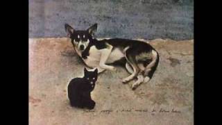 Assanhada - Antonio Adolfo