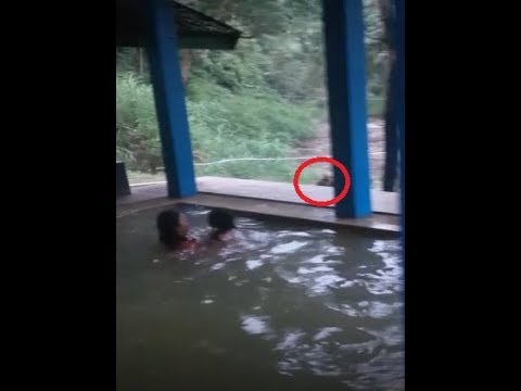 Ngintip kakak. Ngintip kakak. Hobby ngintip sotwe. Ngintip kakak. Ngintip kakak.