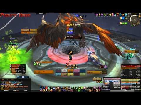 Fearless Horde vs Ji'Kun (Guardian Druid PoV)