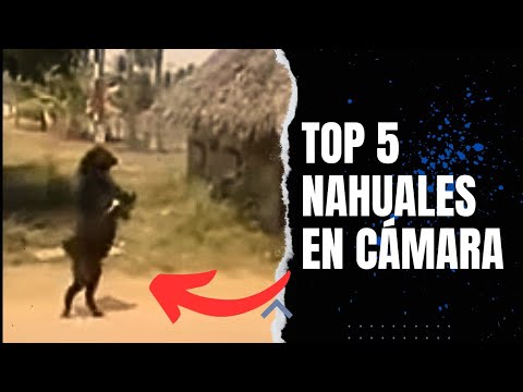5 REAL NAHUALES CAPTURED IN REAL LIFE AND ON CAMERA