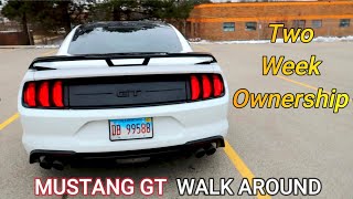 Mustang GT Full Walk Around! (Two Week Ownership)