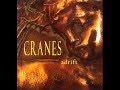 CRANES - Adrift