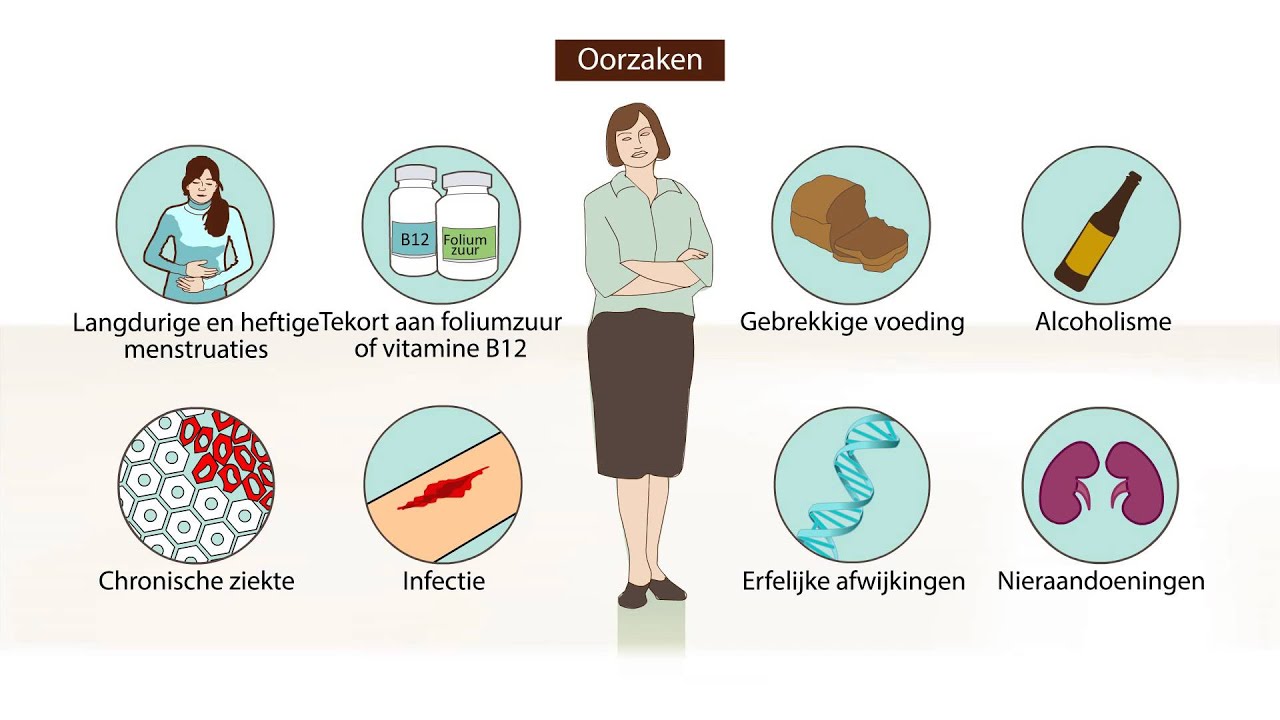 Bloedarmoede - Symptomen en behandeling