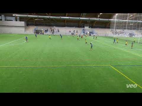 Ilves P21 vs ILVES B1 B2
