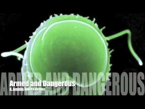 Papillomavirus human genomes
