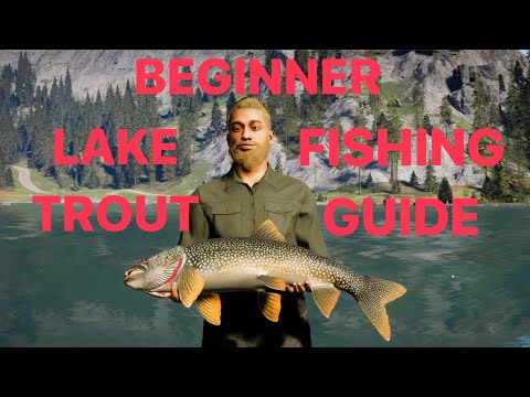 LAKE TROUT FISHING GUIDE FOR BEGINNERS COTW THE ANGLER