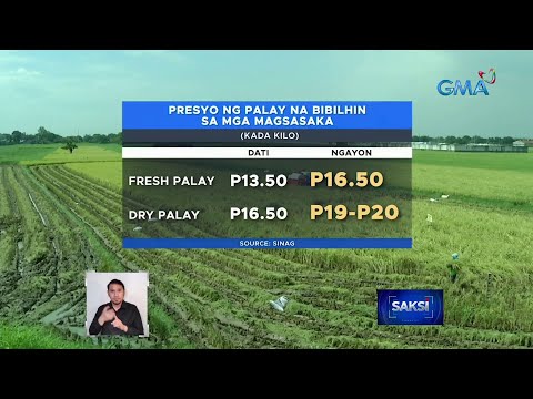 Palay ng mga magsasaka, bibilhin ng SINAG, mga miller at palay trader sa mas mataas na presyo| Saksi