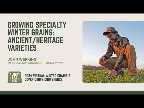 Heritage Grains: The Ancient Seeds of Modern Cuisine | Vibepedia