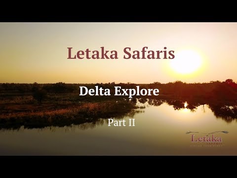 Letaka Safaris: Delta Explore - Part 2