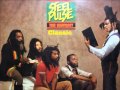 Steel Pulse - Ravers