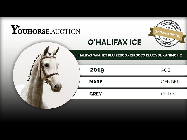 O'Halifax Ice