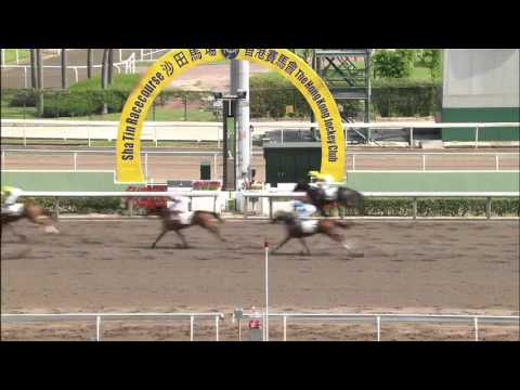 Modern Fortune - Karis Teetan (28 September)