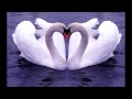 To Make You Feel My Love - guitar instrumental ...