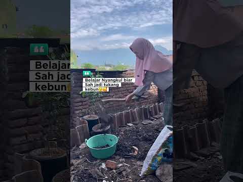 planting process on my mini garden #rumahsederhana #berkebun #minigarden #gardening