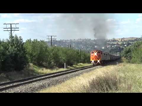 Streamliner heaven! 5 EMD noses on SSR's 6CM5 Junee & Wagga