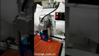 MÁY KHOAN BẢN LỀ BẬT HOLZTEK