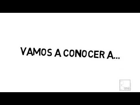 Picasso video