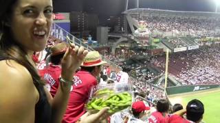 Japanese Baseball: A Night at MAZDA Zoom-Zoom Stadium and the Hiroshima Toyo Carp