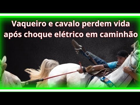 Vaqueiro e cavalo morrem após choque em caminhão | Esdras Ferro | Augustinópolis | Minador do Negrão