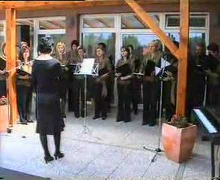 Roza na vrtu zelenem cvete