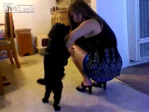 Come aumentare membro gratuito Causando il pene per diventare meno