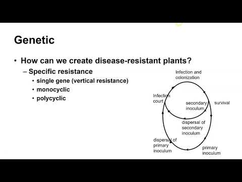 Genetic interactions