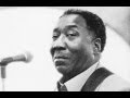 Muddy Waters & Paul Butterfield - Why Are People Like That? - Andria Rogava Muddy Waters & Paul Butterfield - Why Are People Like That?