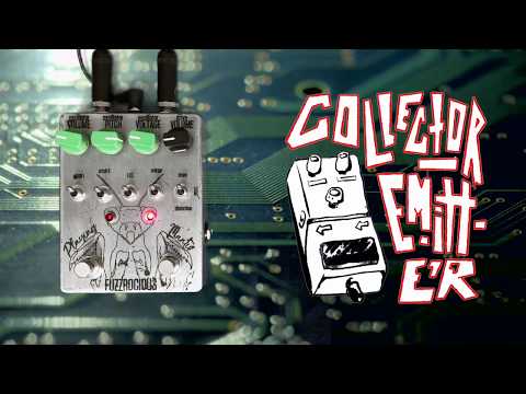 Fuzzrocious Playing Mantis 2019 - Present - Various image 4