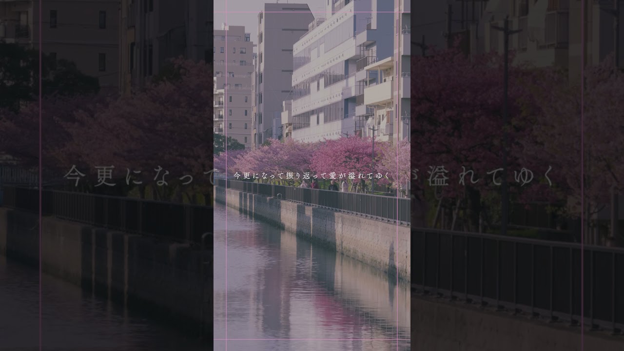 #tonun #青い春に (Re-recorded) #lyricvideo #fyp