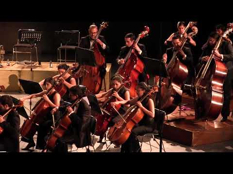 Claro de Luna para Orquesta de Cuerda de Gina Enríquez