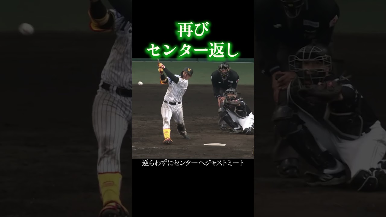 1軍での活躍が楽しみな嶋村 #阪神タイガース