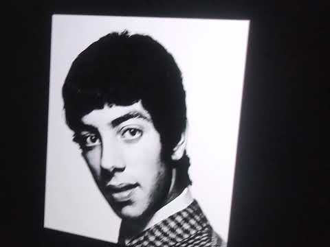 THE MOCKINGBIRDS   " My Story "      2022 stereo mix....