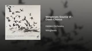 Wingbeats Source VI - Dawn Chorus