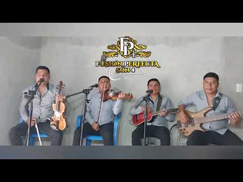 Más que tu amigo. La Fusión Perfecta SON 4.