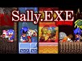 THE BEST SALLY EXE RETAKE EVER