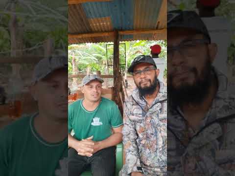 Nova Série: A cobra me picou. Relato 1 com o Senhor Valdir - Serra Pelada Caatiba Bahia.