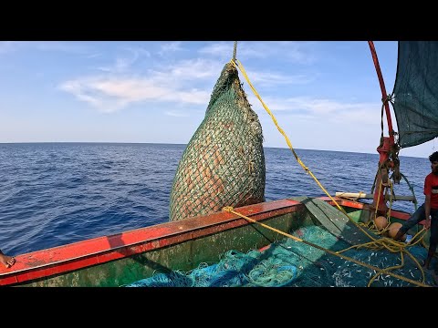 Amazing Gill Net Fishing Line Catch Hundreds Tons of Fish | @FISH_TV