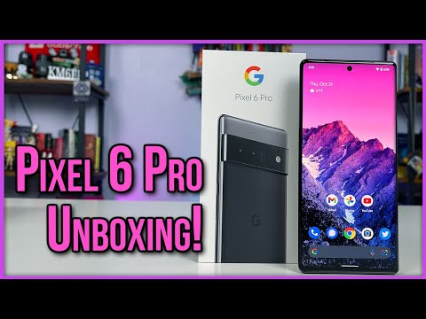 Google Pixel 6 Pro Unboxing and Hardware First Look! \\ Stormy Black + Soft Sage Case \\
