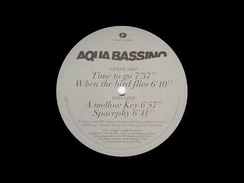 Aqua Bassino  -  Time to go