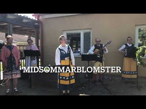Midsommarsånger